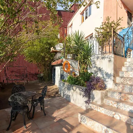 Leafy Views & Light Filled Comfort In Kuzguncuk *