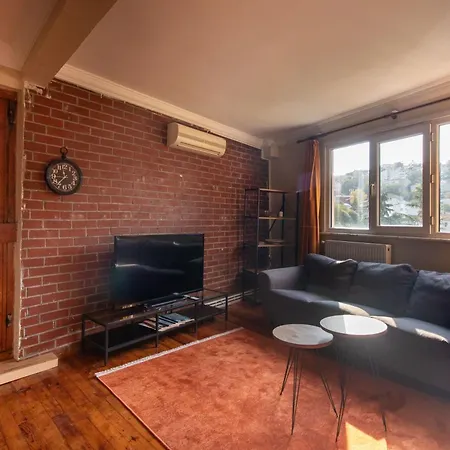 Apartment Leafy Views & Light Filled Comfort In Kuzguncuk