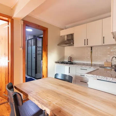 Leafy Views & Light Filled Comfort In Kuzguncuk