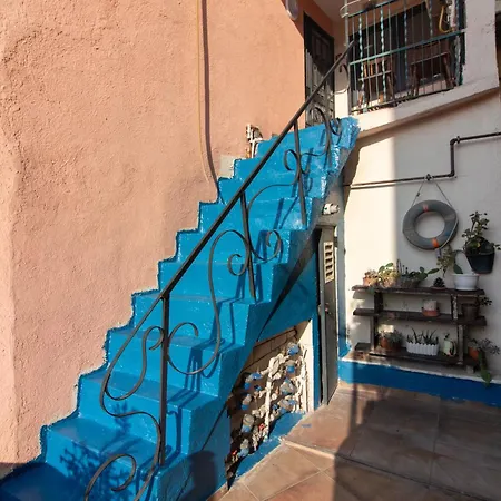 Leafy Views & Light Filled Comfort In Kuzguncuk