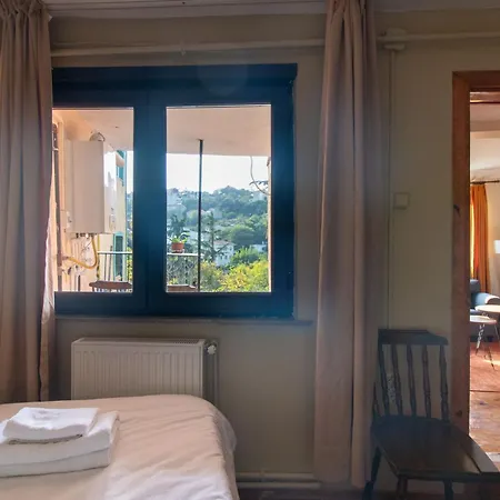 Leafy Views & Light Filled Comfort In Kuzguncuk Apartment