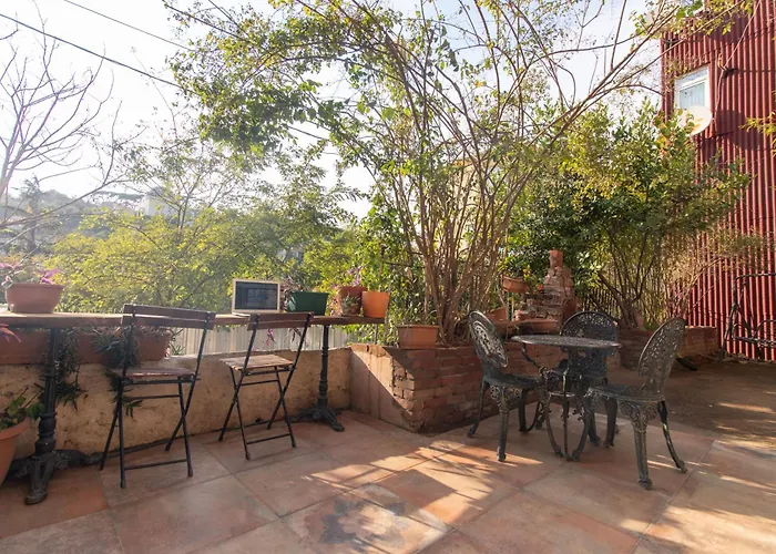 Leafy Views & Light Filled Comfort In Kuzguncuk *