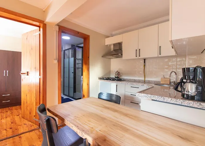 Leafy Views & Light Filled Comfort In Kuzguncuk