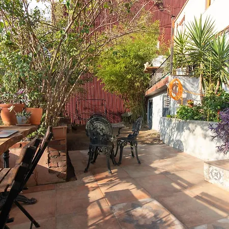 Διαμέρισμα Leafy Views & Light Filled Comfort In Kuzguncuk *